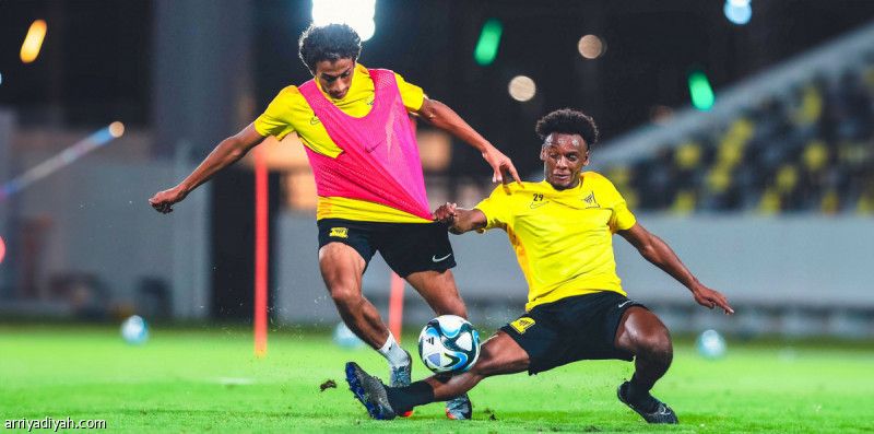 الهمامي على أعتاب القادسية