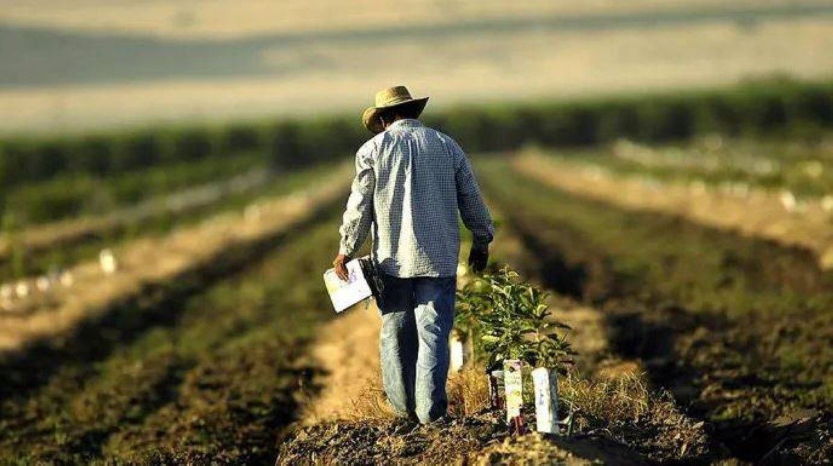 أجندة ترامب للهجرة.. تداعيات سلبية عميقة على نمو الاقتصاد الأمريكي