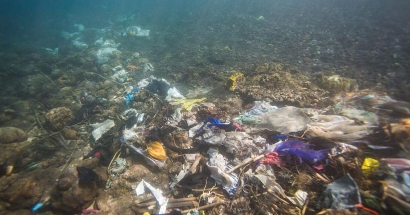 «البلدية»: مخلفات الشواطئ تتسرب إلى البحر وتهدد تجمعات الأسماك والشعاب المرجانية