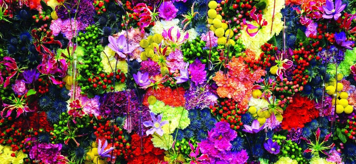 13.7 % نمو سوق الزهور في الإمارات بحلول 2028