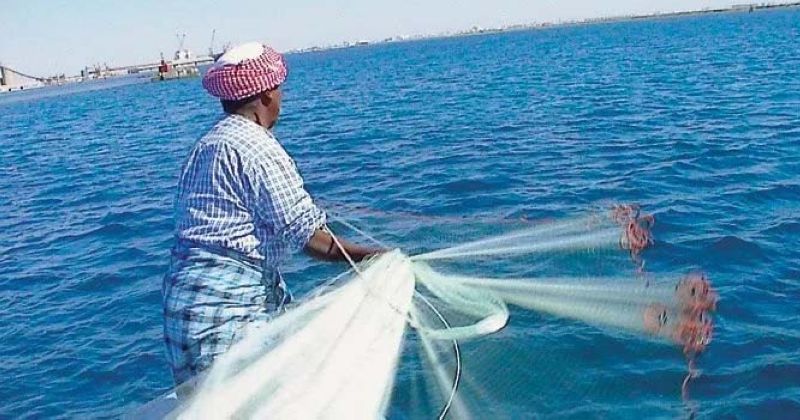 «الزراعة»: بدء موسم صيد الروبيان في المنطقة الاقتصادية