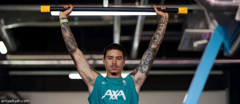 «ذا أثليتيك»: الهلال أبلغ ليفربول.. ونونيز يوافق