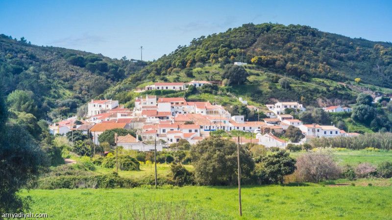 ودعت جيسوس دون لقب.. ألفيس أبرز نجومها.. والمولد كتبه تاريخها