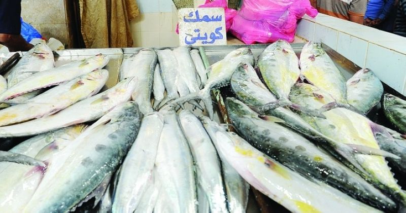 «اتحاد الصيادين»: ضرورة تنظيم المهنة وزيادة رقعة الصيد