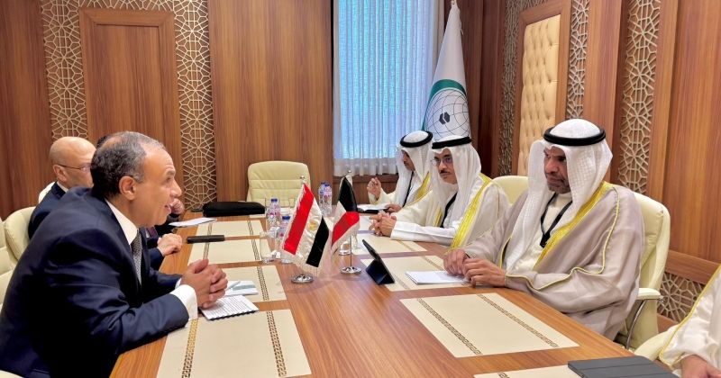 وزير الخارجية بحث ونظيره المصري في جدة تطورات الأوضاع الفلسطينية