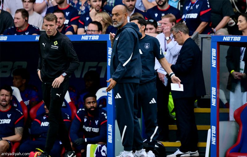 نونو: شائعات انتقالي سخيفة.. وعودة الانسجام ممكنة