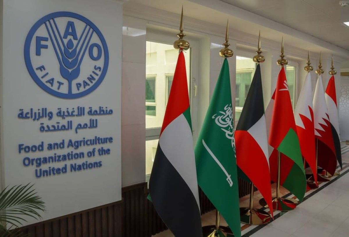 "الفـاو" تشيد بجهود الإمارات في تمكين المرأة