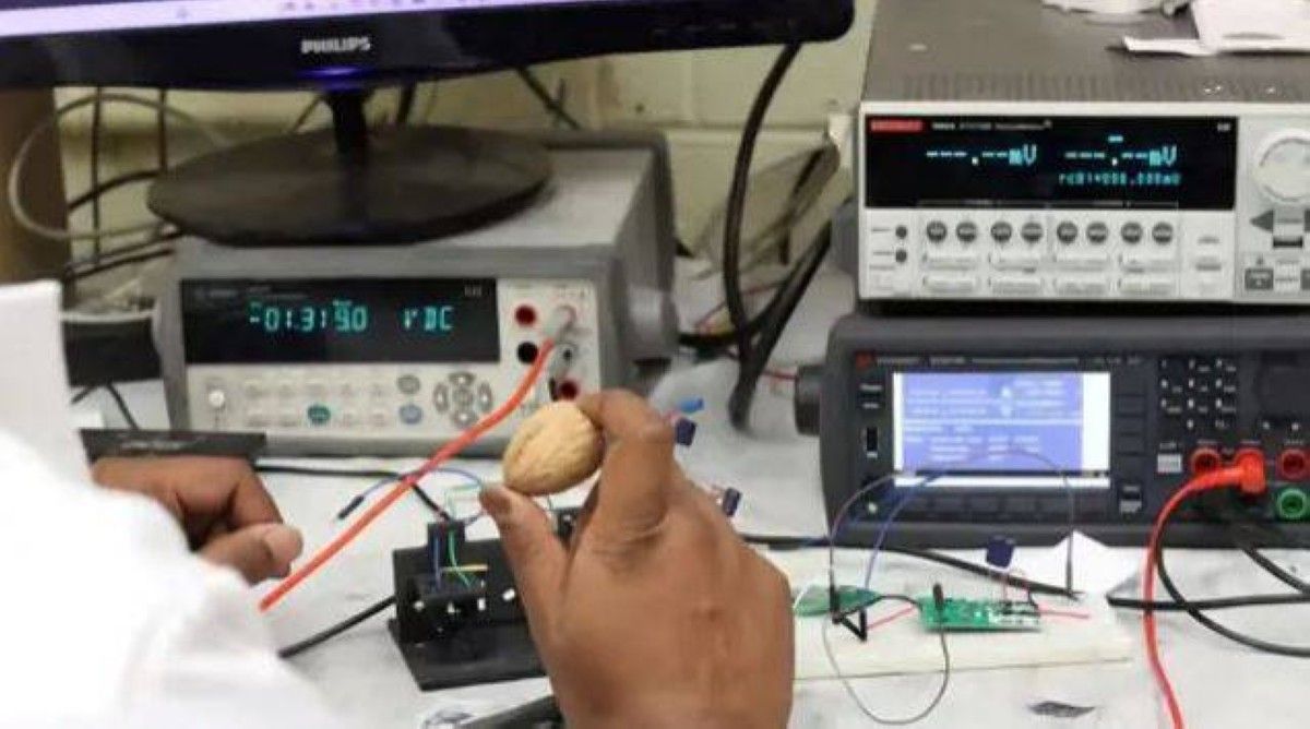 ابتكار ثوري.. توليد الكهرباء من قشور الجوز وبضع قطرات ماء فقط