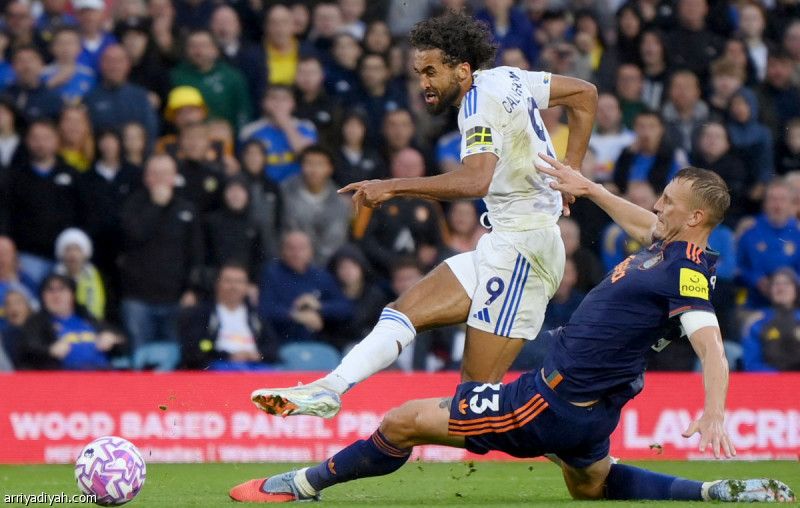 السلبية تنهي مواجهة نيوكاسل وليدز