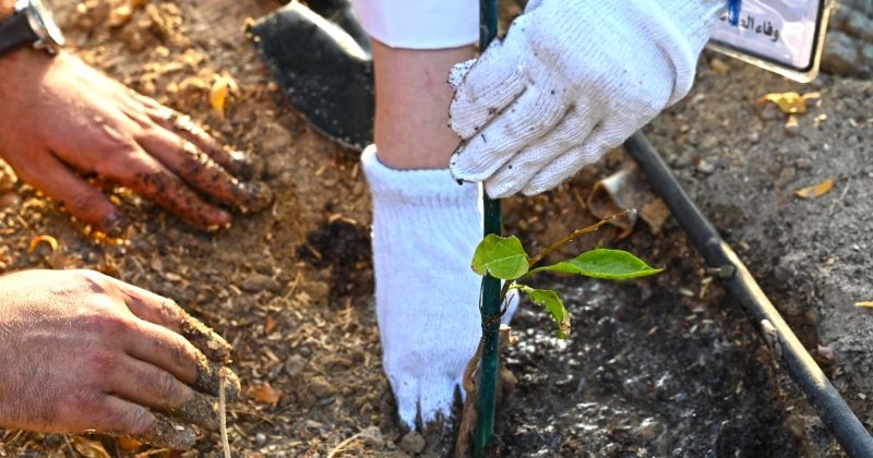 نهج حضاري وإنساني في عقوبات المرور