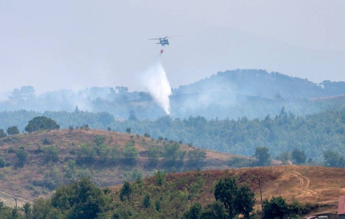 الإمارات نهج إنساني متواصل من ميانمار إلى أفغانستان