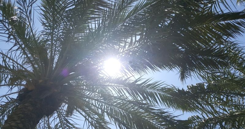 طقس حار في عطلة نهاية الأسبوع