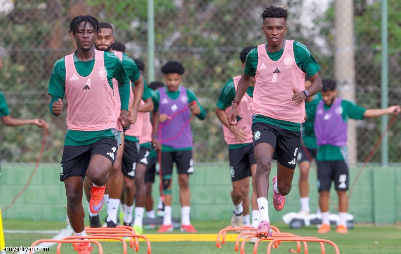 الصقور يودعون البرازيل بمواجهة تشيلي