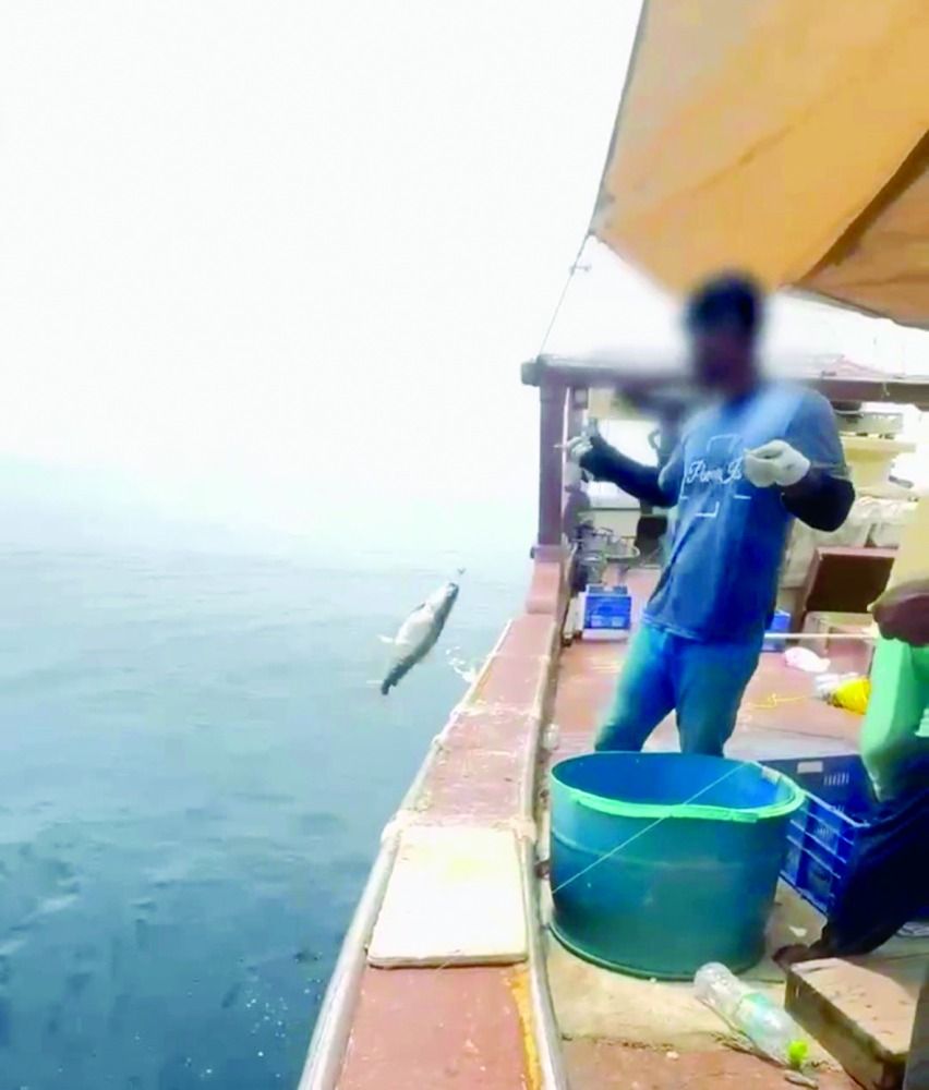 «البيئة» تضبط مخالفة صيد غير قانوني