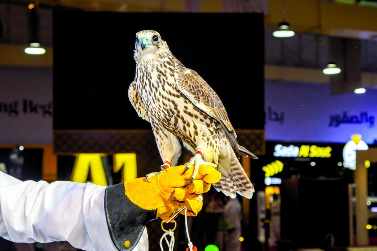 مشاركة 17 دولة و200 شركة في «سهيل 2025»