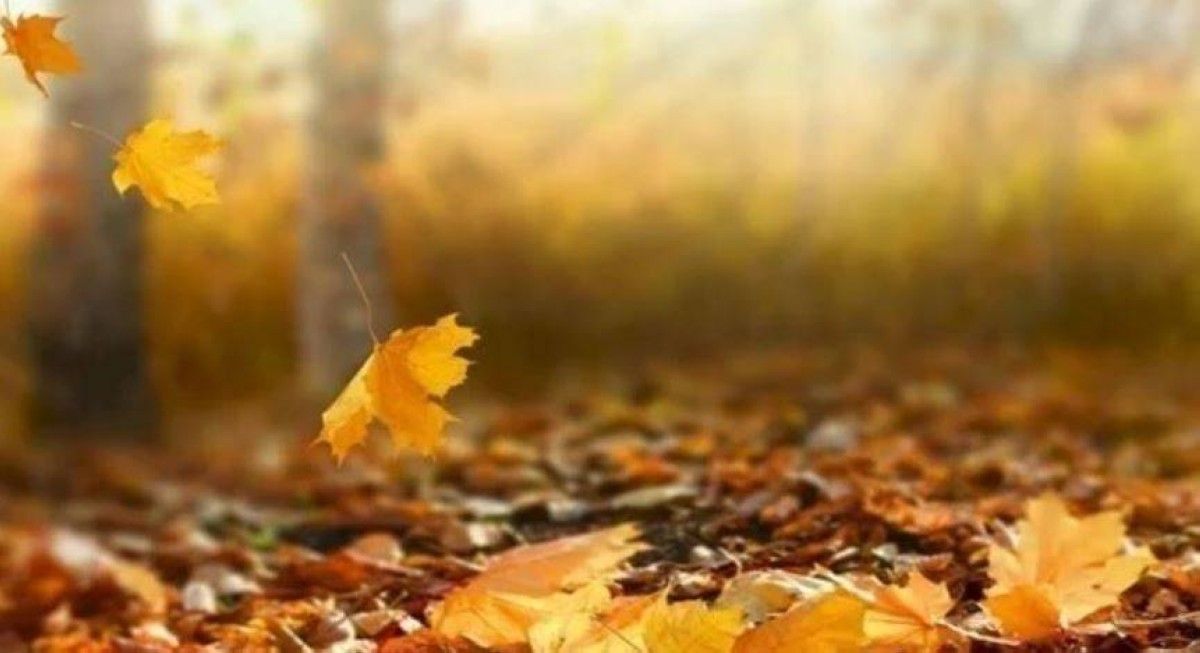 "الإمارات للفلك ": 22 سبتمبر بداية الخريف وانخفاض الحرارة المحسوس