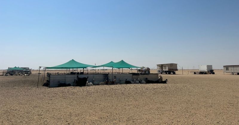 البلدية تزيل معوقات إنتاج الطاقة المتجددة الأحد المقبل