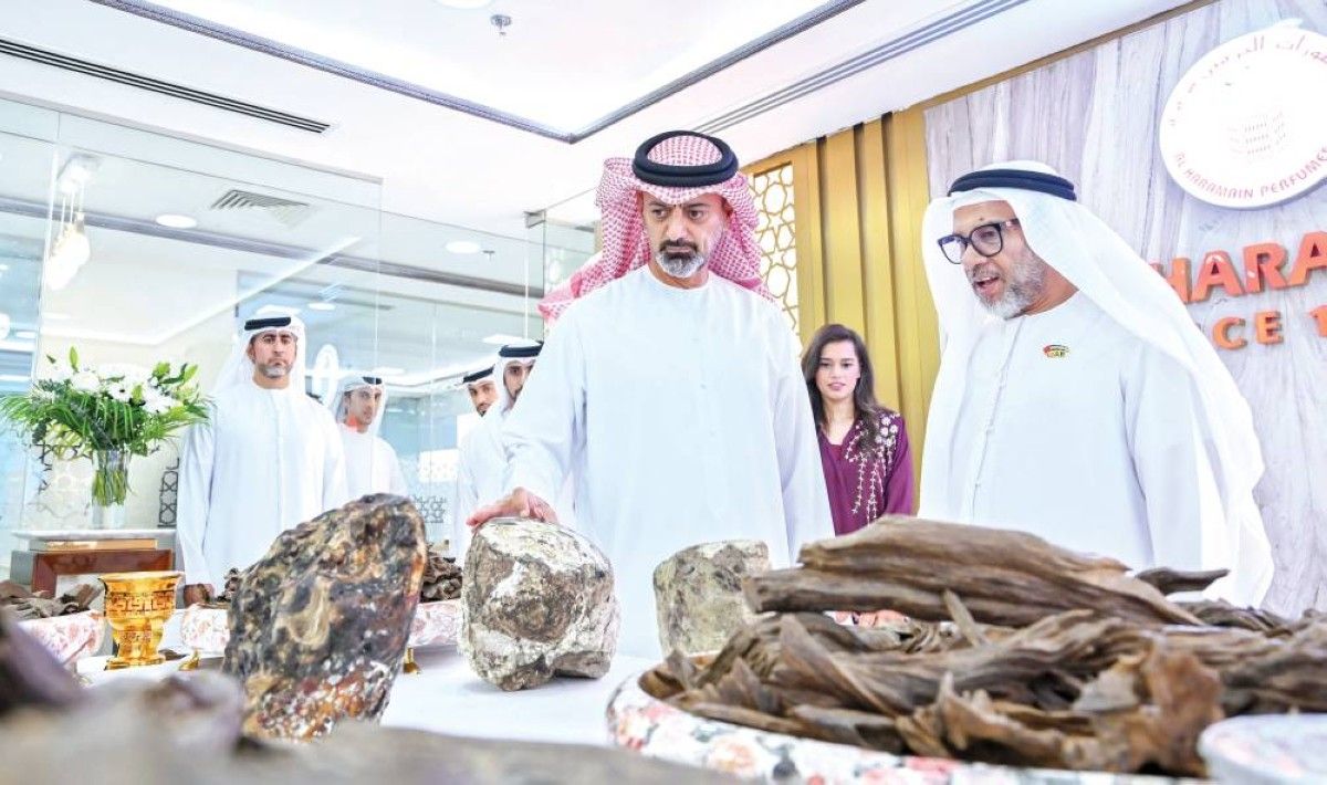 عمار النعيمي: الصناعة ركيزة أساسيةبمسيرة التنمية الاقتصادية المستدامة