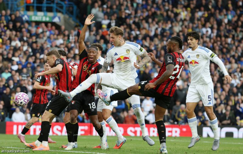 بورنموث يفرض التعادل على ليدز