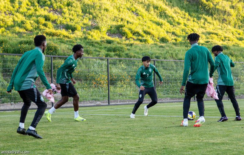 فوز الصقور على نيجيريا يلغي أفضلية المغرب