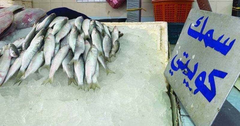 استثنائيا.. السماح بصيد «الميد» داخل جون الكويت