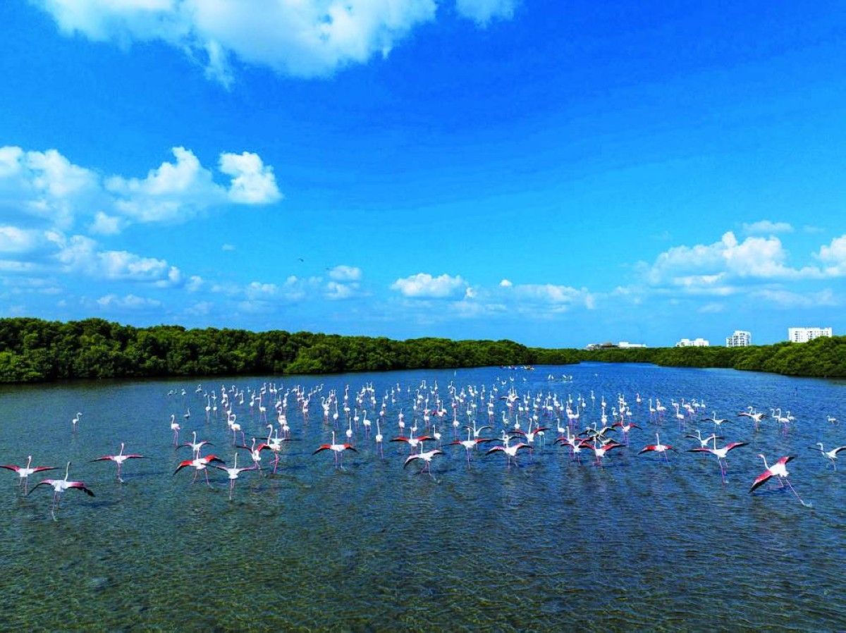 سياحة عجمان تنظم زيارة إلى فرنسا لتعزيز علاقات التعاون والشراكة السياحية