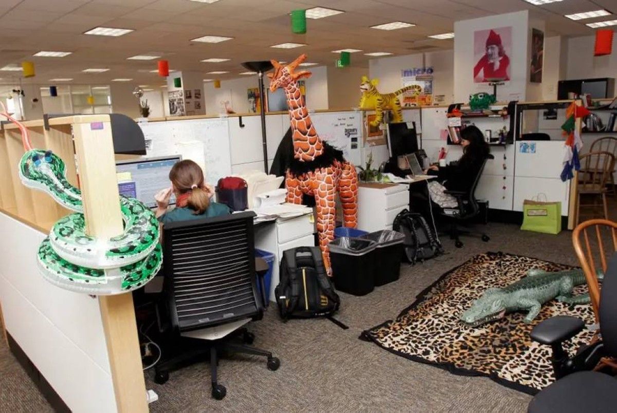 وظائف تُولد وأخرى تختفي.. الذكاء الاصطناعي يعيد تشكيل قطاع التكنولوجيا