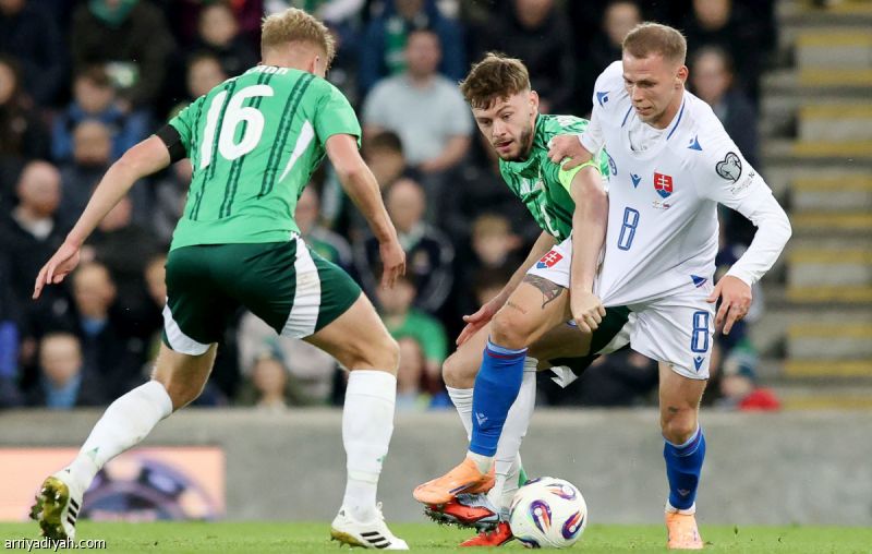 بمشاركة جيومبر ودودا.. سلوفاكيا تسقط أمام إيرلندا الشمالية