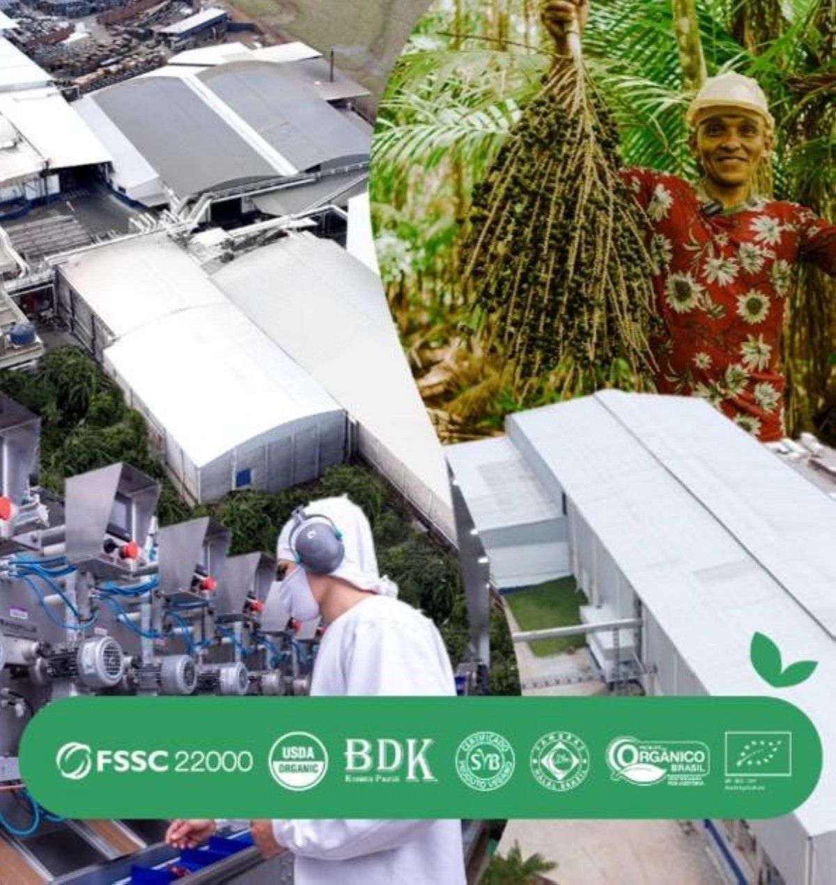 بولبانورتي .. علامة الأساي البرازيلية الرائدة في المبيعات تنطلق في الشرق الأوسط