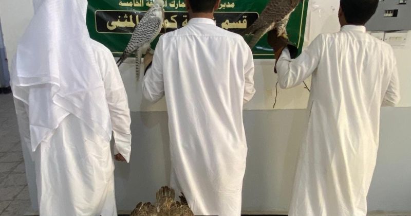 وزارة الداخلية العراقية: القبض على ثلاثة صيادين كويتيين مخالفين للضوابط والشروط في بادية المثنى