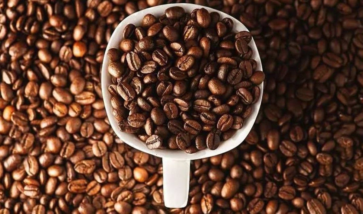 لماذا ارتفعت أسعار القهوة 41 % منذ أغسطس؟