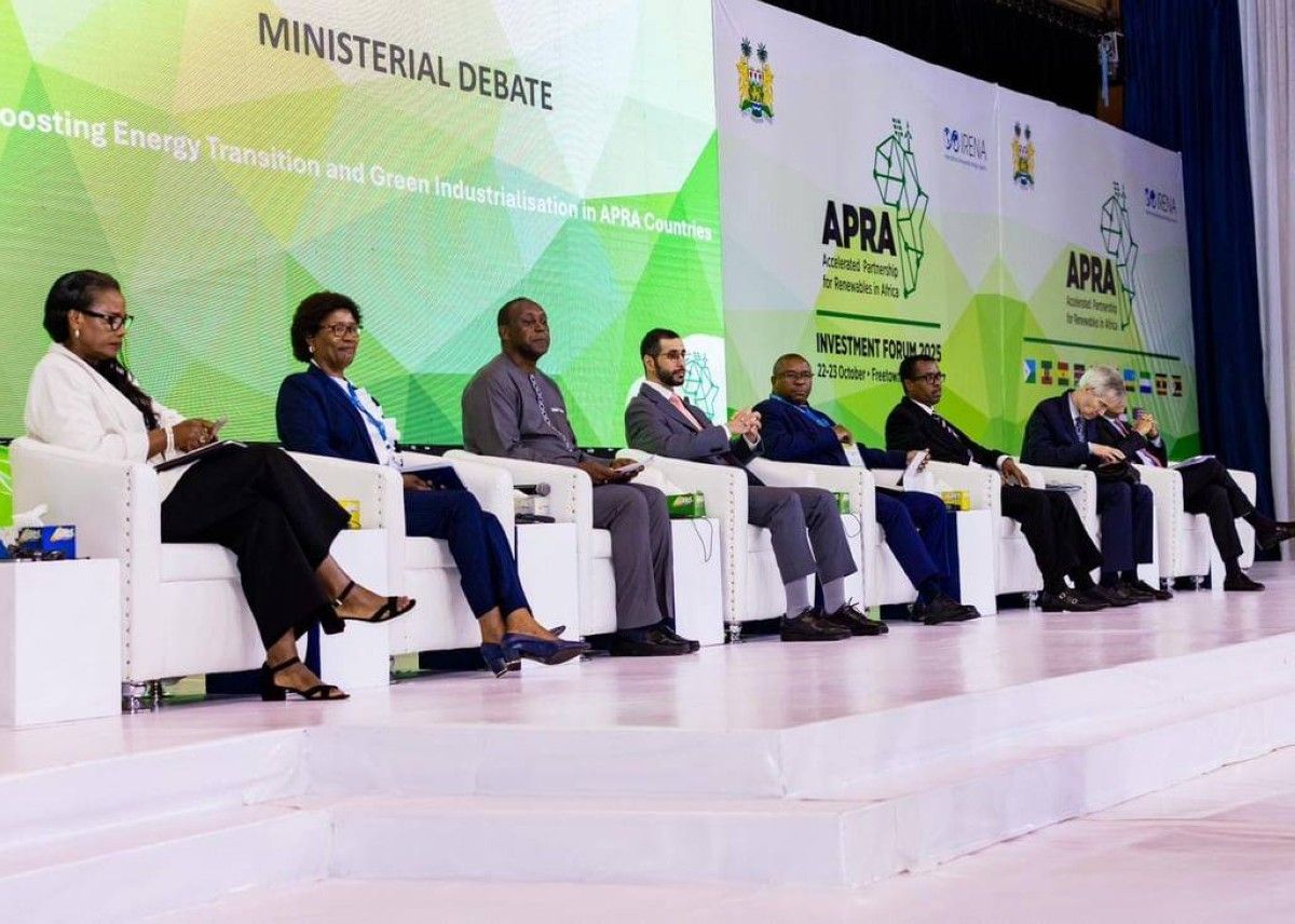 الإمارات تؤكد التزامها بالشراكة مع أفريقيا للتحول نحو الطاقة النظيفة والتصنيع الأخضر