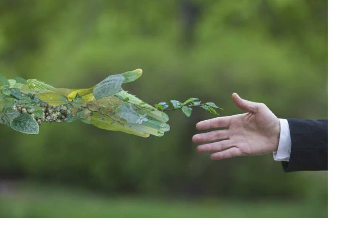 الإمارات تعزز ريادتها الإقليمية في التمويل الأخضر