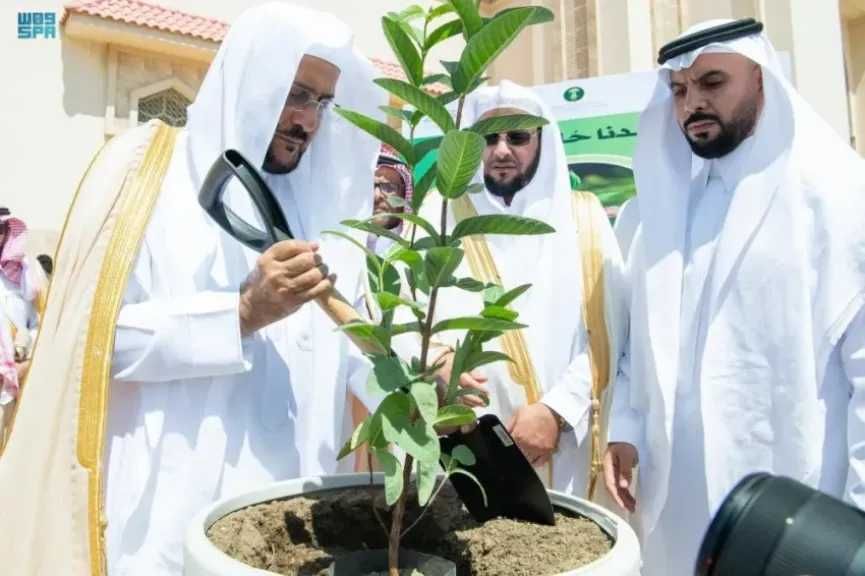 السعودية تزرع الأمل في المساجد.. مبادرة ”مساجدنا حُلّة خضراء” تغرس 100 ألف شتلة بحائل