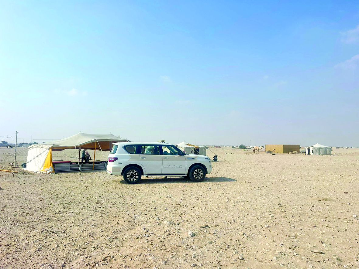 البيئة تشارك في تنظيم مهرجان «مزاين الإبل»