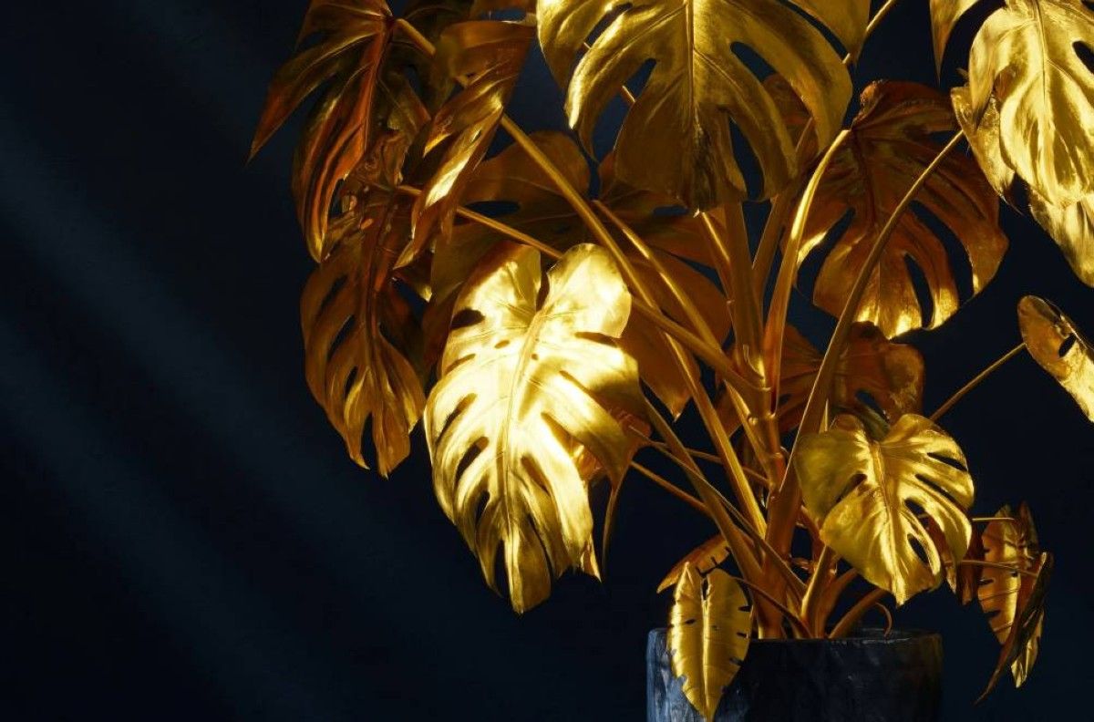 الذهب لا يوجد فقط في المناجم.. اكتشف أماكنه المذهلة