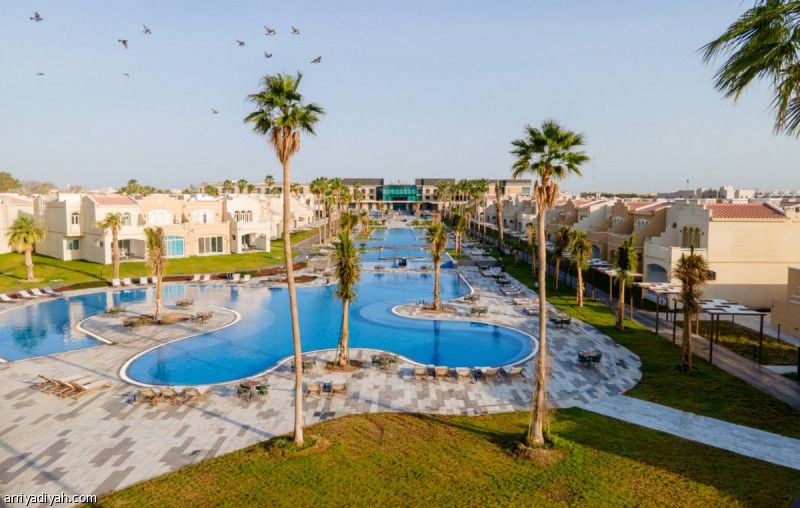 قبل الديربي.. «ريكسوس» يحتضن الأهلاويين