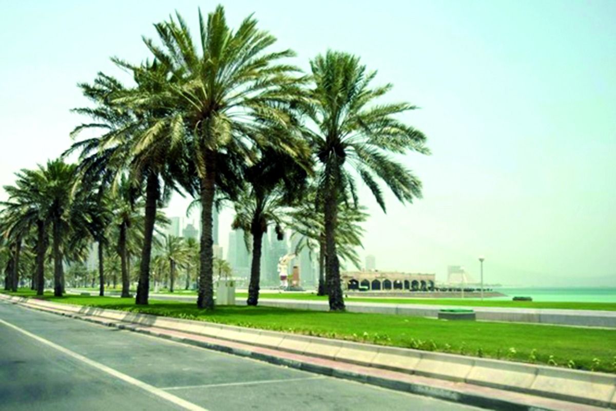 للكشف المبكر عن الإصابة بالسوسة الحمراء.. «البلدية»: تطبق نظام المسح بالذكاء الاصطناعي لبساتين النخيل