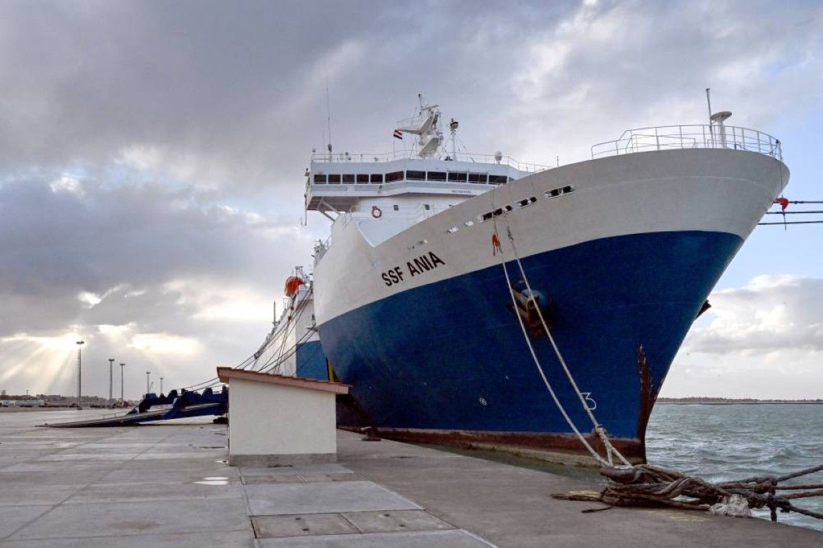 المستشفى الإماراتي العائم في العريش يجري تدخلاً جراحياً نوعياً لشاب فلسطيني