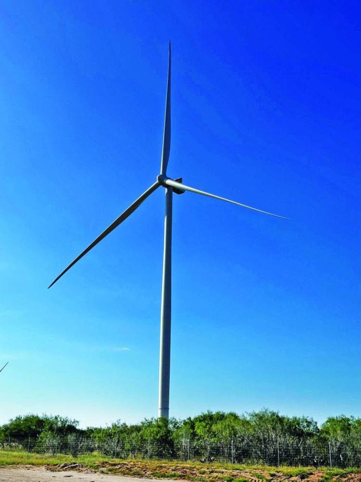 «تيرا جن» توسع محفظة مشاريعها للطاقة النظيفة في الولايات المتحدة