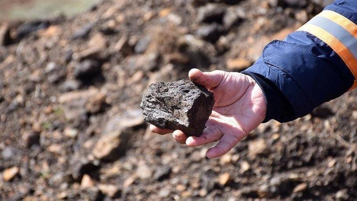 الصين تكشف عن نبات يُنتج 17 معدناً أرضياً نادراً