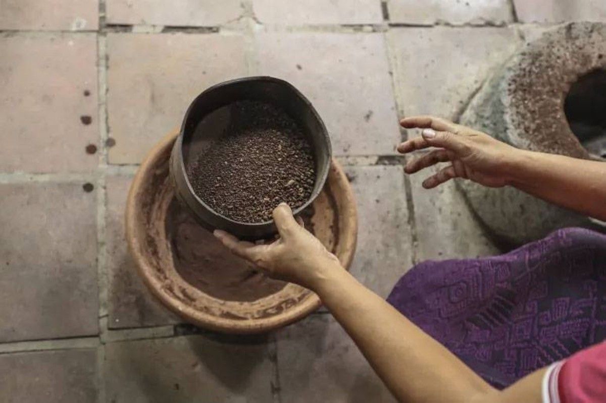 أغلى قهوة في العالم من فضلات الحيوانات!