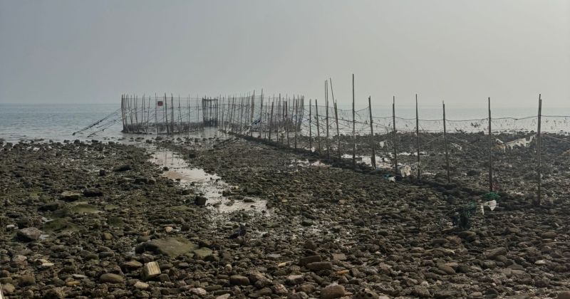 «البيئة»: نراقب التزام «الحظرات» بالاشتراطات