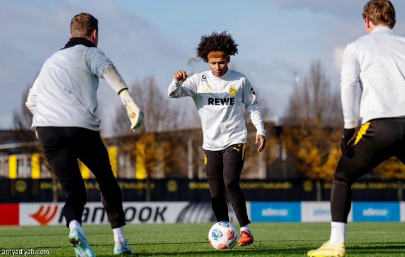 كوفاتش: أسلحة أديمي لن تحرمه اللعب