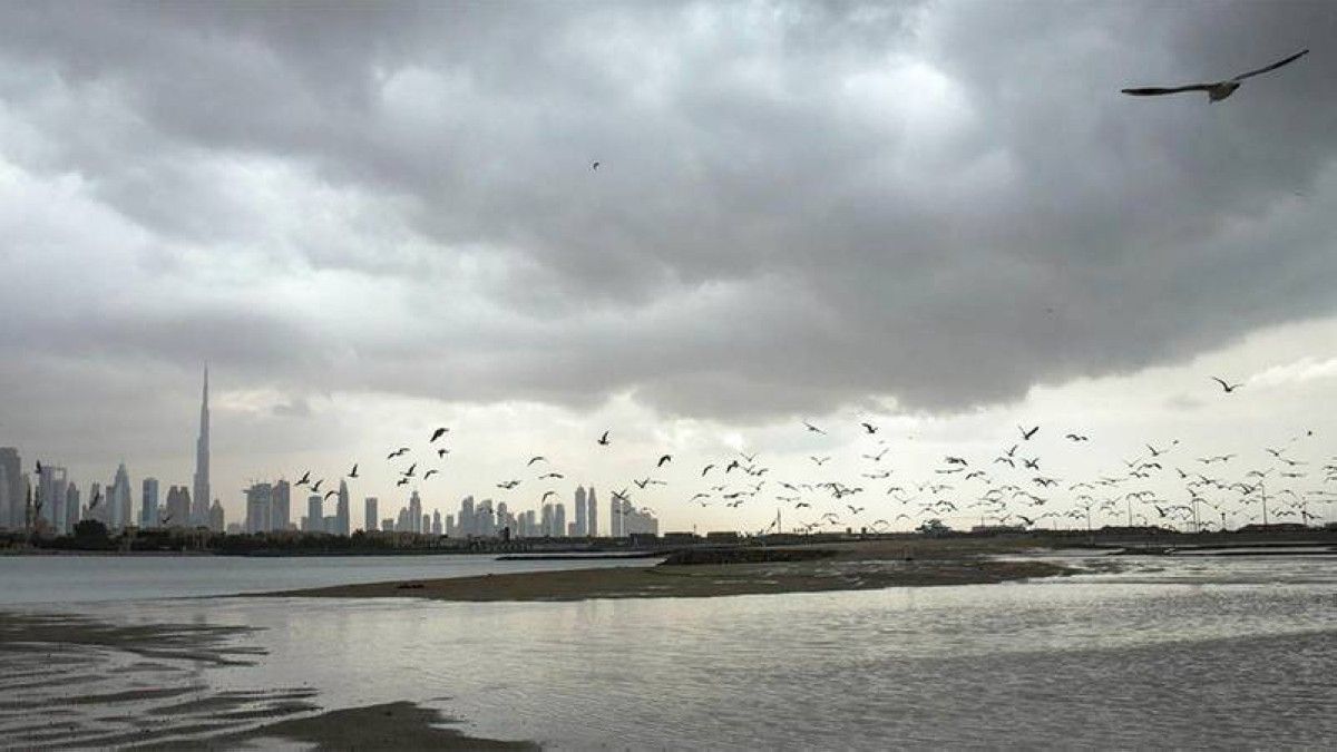 طقس الغد في الإمارات.. غائم مع احتمال سقوط أمطار