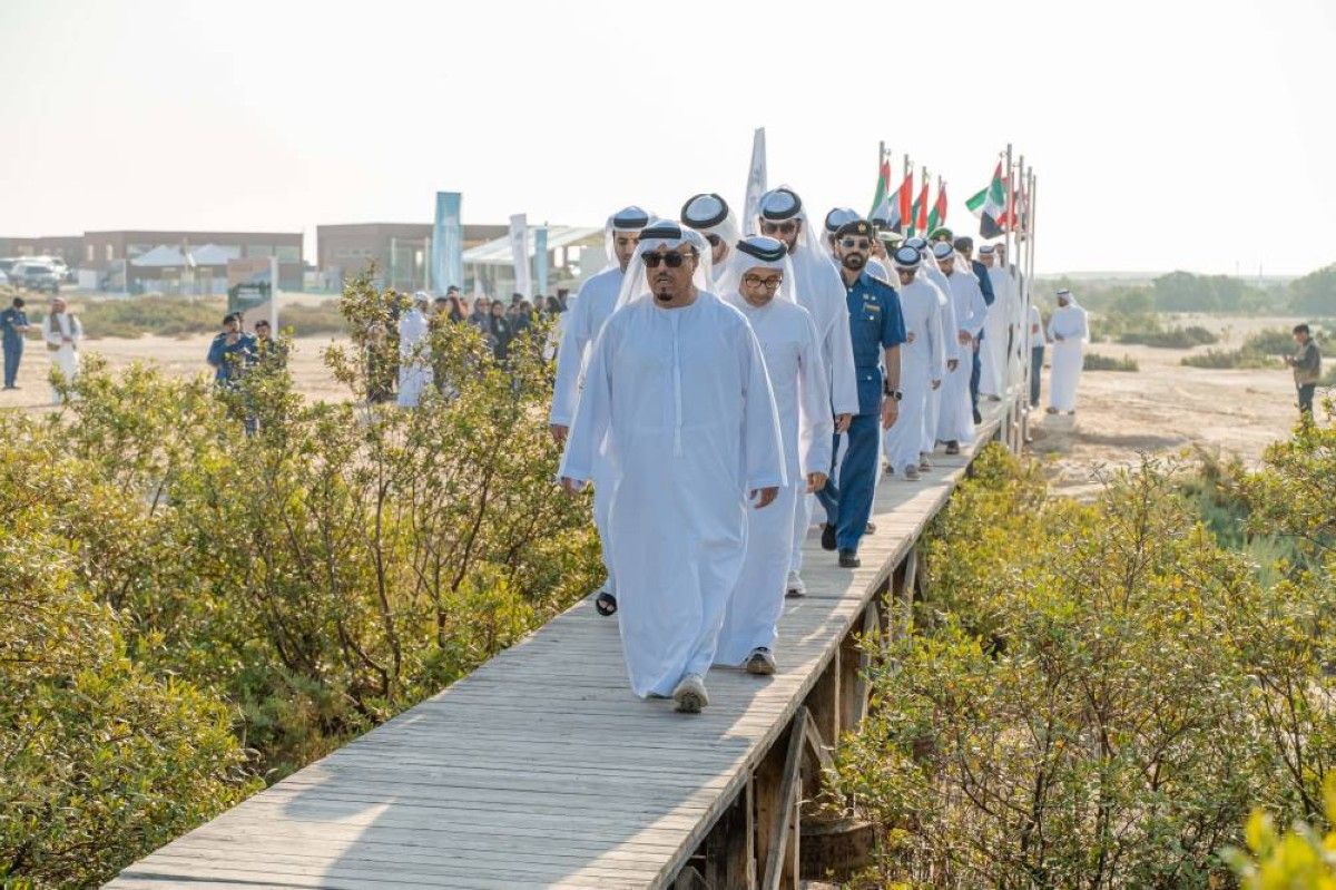 هيئة دبي للبيئة والتغير المناخي تطلق مبادرة زراعة أشجار القرم في محميات دبي