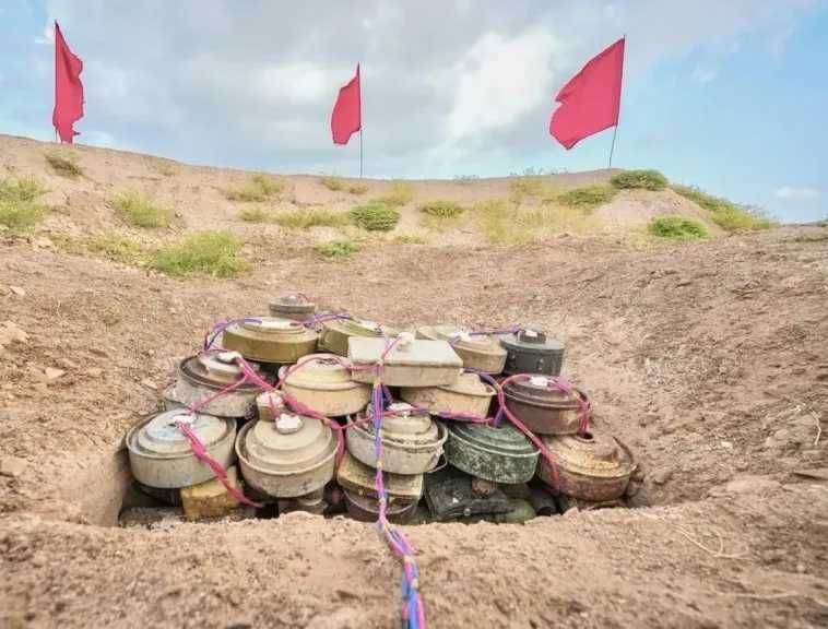 مشروع مسام ينزع 874 لغمًا من الأراضي اليمنية خلال أسبوع