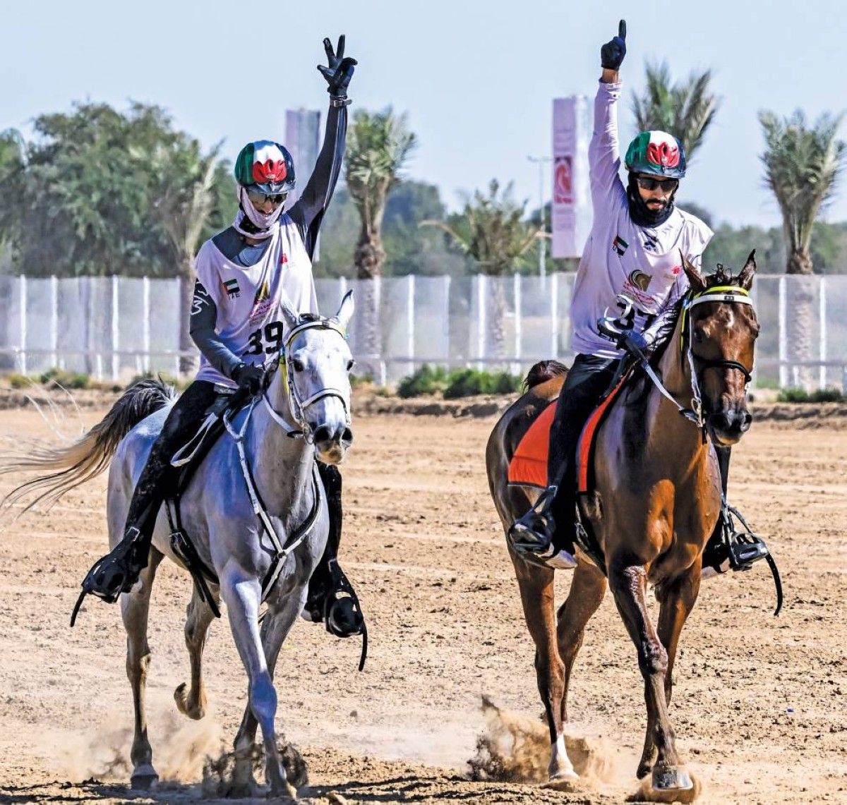 الفروسية في عهد الاتحاد إنجازات بلا حدود