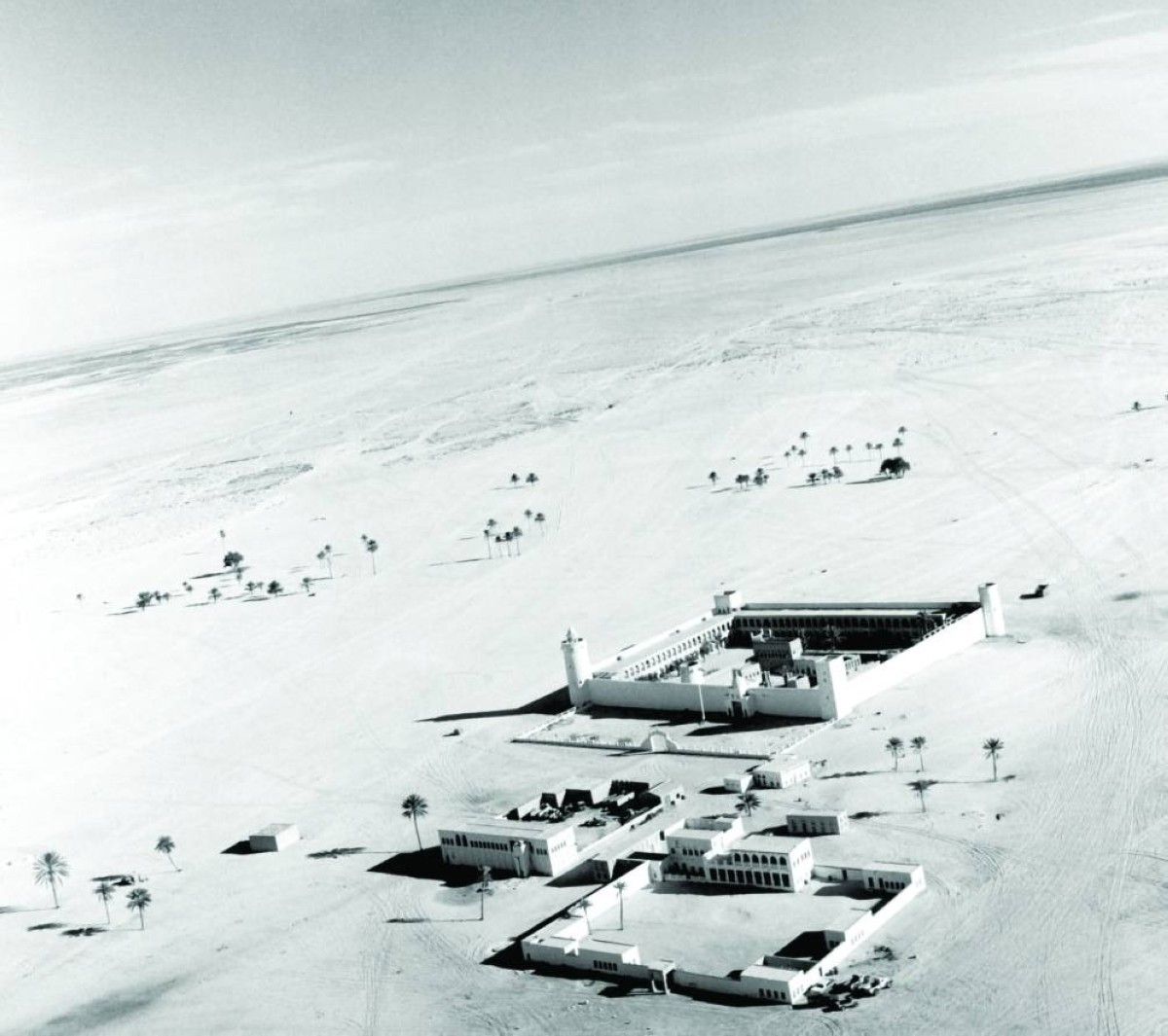 الإمارات.. مسيرة بناء وتطور وريادة