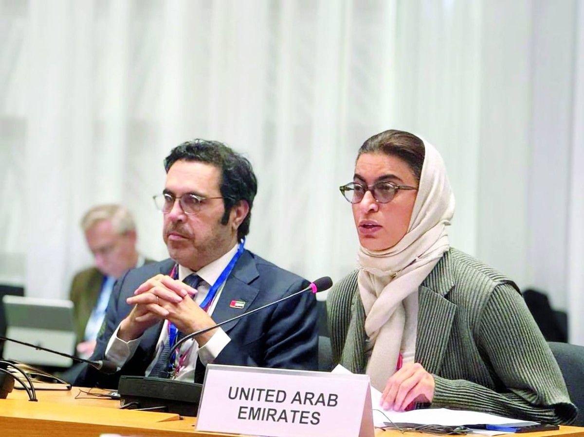 الإمارات تؤكد العمل مع الشركاء لدعم الاقتصادات الهشة في منطقة المحيطين الهندي والهادئ